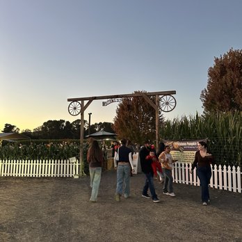 Petaluma Pumpkin Patch And Amazing Corn Maze - Pumpkin Patches Near Me - Petaluma, California Petaluma Pumpkin Patch And Amazing Corn Maze - Pumpkin Patches Near Me - Petaluma, California