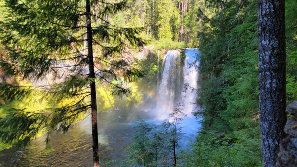 Sahalie Falls by null