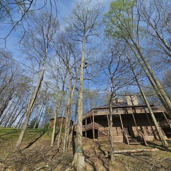 Precision Cutz Tree Services - Tree Services Near Me - Coeburn, Virginia Precision Cutz Tree Services - Tree Services Near Me - Coeburn, Virginia