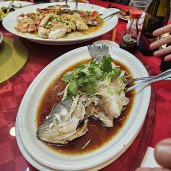 Canton Manor - Chinese Near Me - Bayside, New York Canton Manor - Chinese Near Me - Bayside, New York