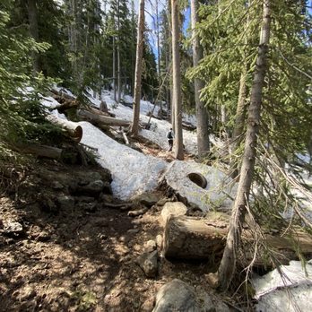 Humphrey's Trail - Hiking Near Me - Flagstaff, Arizona