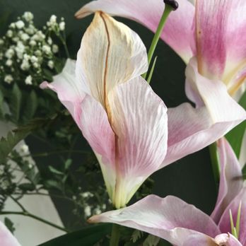 East Bay Flowers - Florists Near Me - San Leandro, California East Bay Flowers - Florists Near Me - San Leandro, California