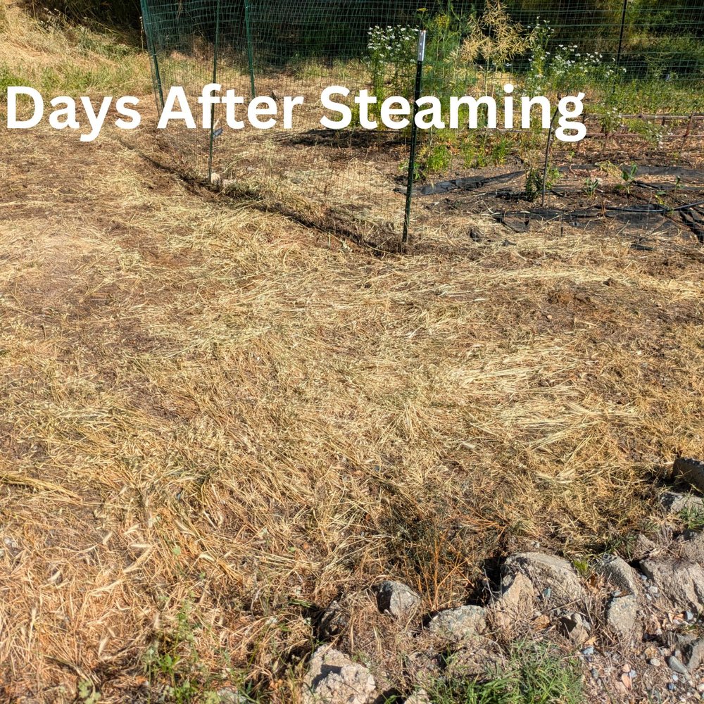 THE BEST 10 GARDENERS near COOL, CA 95614 - Updated 2025 - Hours - Yelp