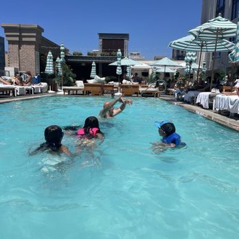 The Pool House - Swimming Pools Near Me - San Diego, California The Pool House - Swimming Pools Near Me - San Diego, California
