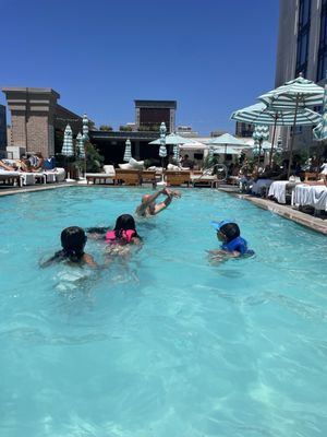 The Pool House by null