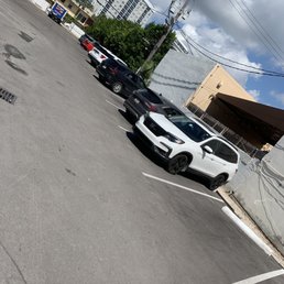 No car for me but plenty of cars in the lot
