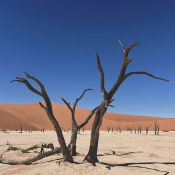 Boutique Travel - Sossusvlei, Namibia - Travel Agents Near Me - Oakland, California Boutique Travel - Sossusvlei, Namibia - Travel Agents Near Me - Oakland, California