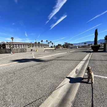 CasaBlanca RV Park - Empty spots - RV Parks Near Me - Mesquite, Nevada CasaBlanca RV Park - Empty spots - RV Parks Near Me - Mesquite, Nevada