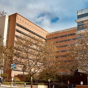 UCLA Stein Eye Institute - "Part of the expanded UCLA medical campus facilities" - Ophthalmologists Near Me - Los Angeles, California UCLA Stein Eye Institute - "Part of the expanded UCLA medical campus facilities" - Ophthalmologists Near Me - Los Angeles, California