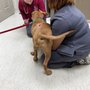 Photo of Coats Veterinary Hospital