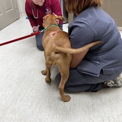 Coats Veterinary Hospital