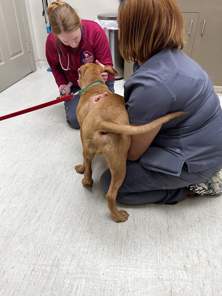 Coats Veterinary Hospital Image
