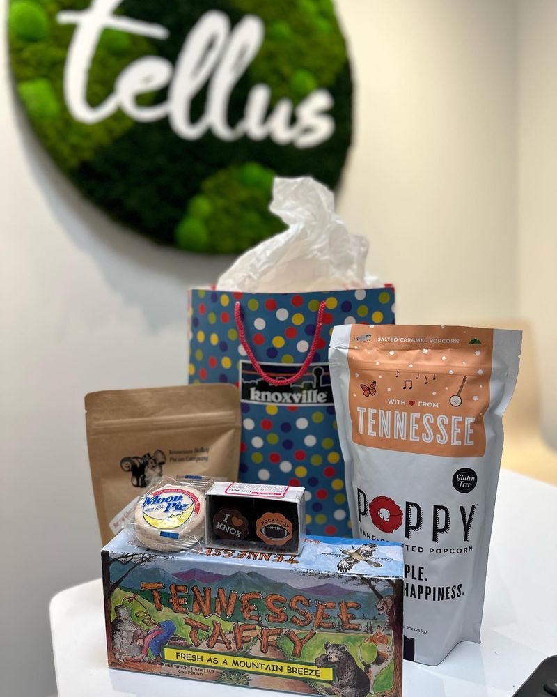 TELLUS GREEN APARTMENTS 25 Photos 713 Bloomfield Ave, Bloomfield