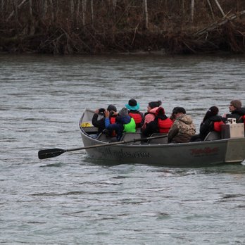 Skagit River Eagle Tours - Tours Near Me - Rockport, Washington Skagit River Eagle Tours - Tours Near Me - Rockport, Washington