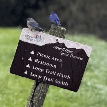 1. Newell Open Space Preserve