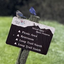 Newell Open Space Preserve