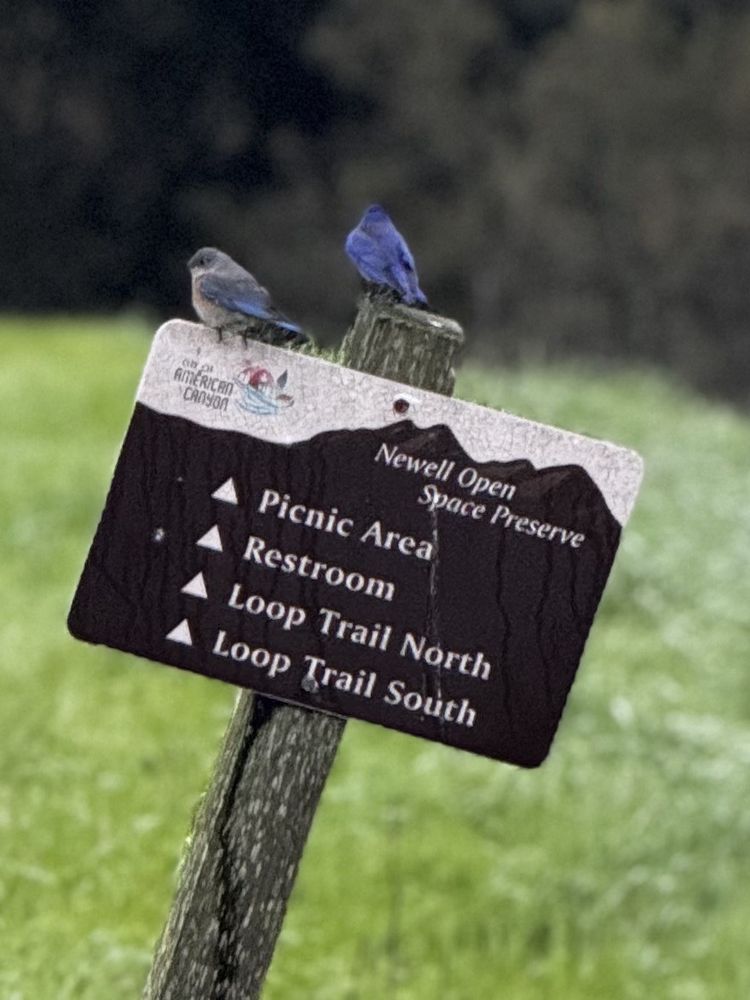 Newell Open Space Preserve Logo