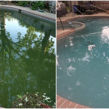 PoolSmith Katy - Got the overnight green? Call Mike to get that green pool blue again! - Pool & Hot Tub Service Near Me PoolSmith Katy - Got the overnight green? Call Mike to get that green pool blue again! - Pool & Hot Tub Service Near Me