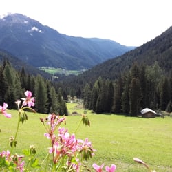 Kradorfer Alm