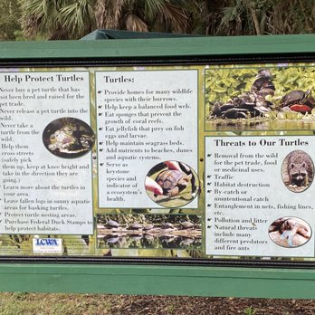 Trout Lake Nature Center - Parks Near Me - Eustis, Florida Trout Lake Nature Center - Parks Near Me - Eustis, Florida