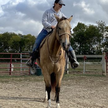 K-Trails Equestrian Adventures - Horseback Riding Near Me - Noblesville, Indiana