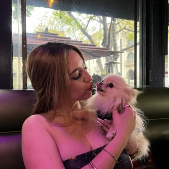 ProAbition - Pet friendly locstions will always have my heart - New American Near Me - Riverside, California