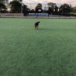 Wantagh Park Dog Run