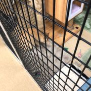 Feeders Supply Closed Pet Stores 3400 Grant Line Rd New