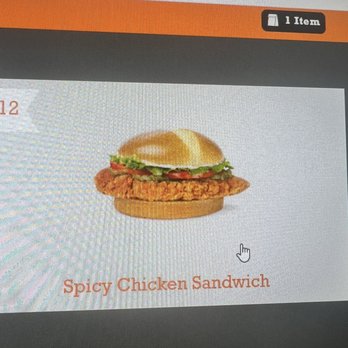 Whataburger - What I wanted and didn't get - Burgers Near Me - Cypress, Texas
