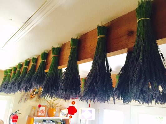 Sequim Lavender Festival by null