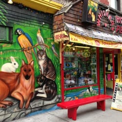 Whiskers Holistic Pet Care