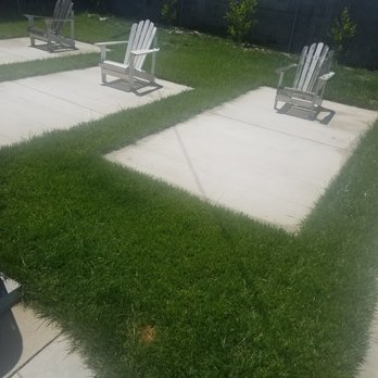 A1 Tree and Landscape - You can see how the yard is infested in the back and how it if find towards the front. - Tree Services Near Me