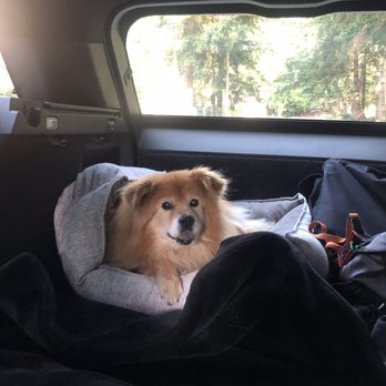 All The Best Pet Care - Madison - Indie - Pet Stores Near Me - Seattle, Washington All The Best Pet Care - Madison - Indie - Pet Stores Near Me - Seattle, Washington