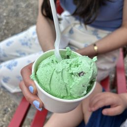 Mint Chocolate Chip Ice Cream Mint Chocolate Chip Ice Cream