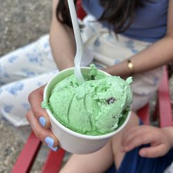 Lena's Water Ice & Custard - Mint chocolate chip! Yummy!