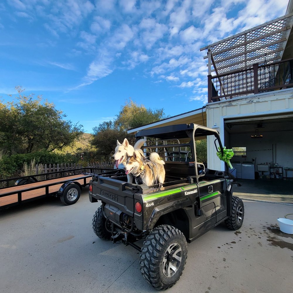Coyne Powersports - Dogs in a mule - Motorcycle Dealers Near Me - Banning, California Coyne Powersports - Dogs in a mule - Motorcycle Dealers Near Me - Banning, California
