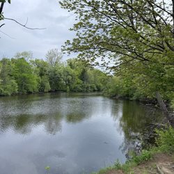 Acacia Reservation - Pond