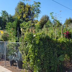 Exotic Garden Nursery - Front