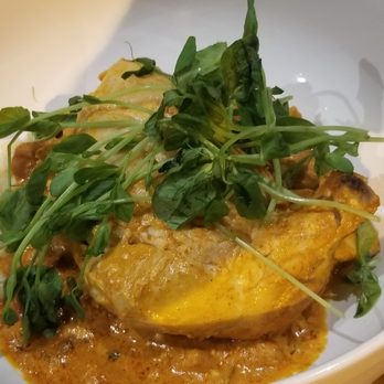 Immigrant Son Brewery - Chicken paprikash - Breweries Near Me - Lakewood, Ohio