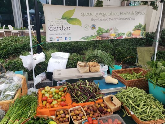 Sandy Springs Farmers Market by null