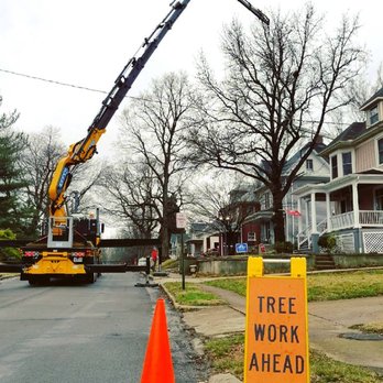 Arbor Management - Tree Services Near Me - Edwardsville, Illinois