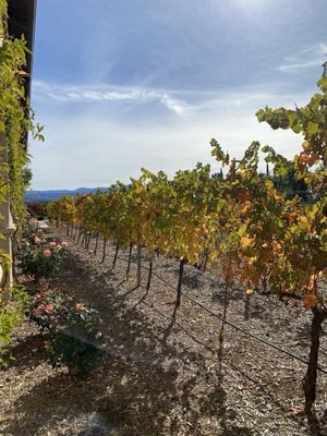 Ponte Vineyard Inn by null