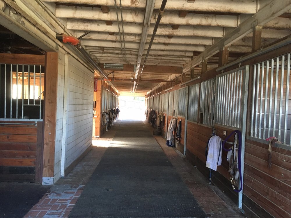 Victoria Dye Equestrian - equestrian in Los Altos Hills, CA