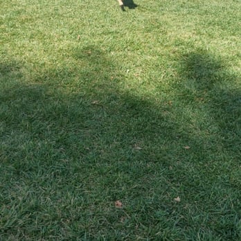 La Palma Dog Park - Dog Parks Near Me - Anaheim, California La Palma Dog Park - Dog Parks Near Me - Anaheim, California