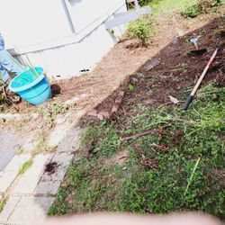 Michael's handyman service - Didn't get a before or after. this is about 75% .,. It was about 2 feet high with vines and weeds....
