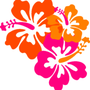 Photo of Mahalo Cleaning & Services