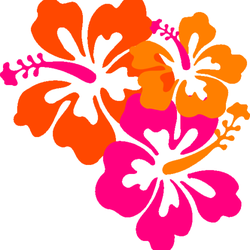 Mahalo Cleaning & Services