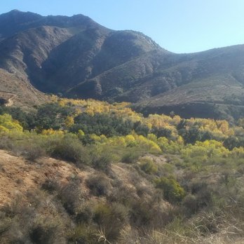 Cedar Creek Falls - Gorgeous trees - Hiking Near Me - Ramona, California Cedar Creek Falls - Gorgeous trees - Hiking Near Me - Ramona, California