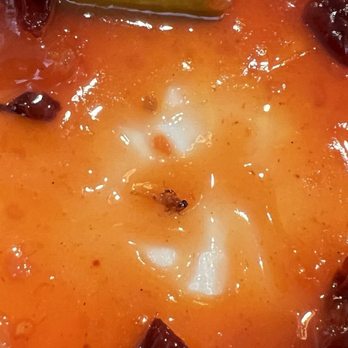 Chuan Cafe - Dead ant - Szechuan Near Me - Raleigh, North Carolina