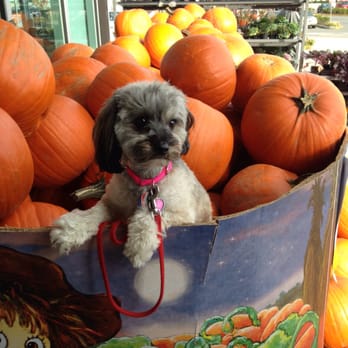 Ash Way Pet Supply - Pet Stores Near Me - Everett, Washington